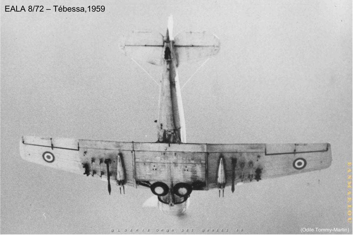 185- ARMEE DE L'AIR EN ALGERIE 1945-1962-33 (20).jpg